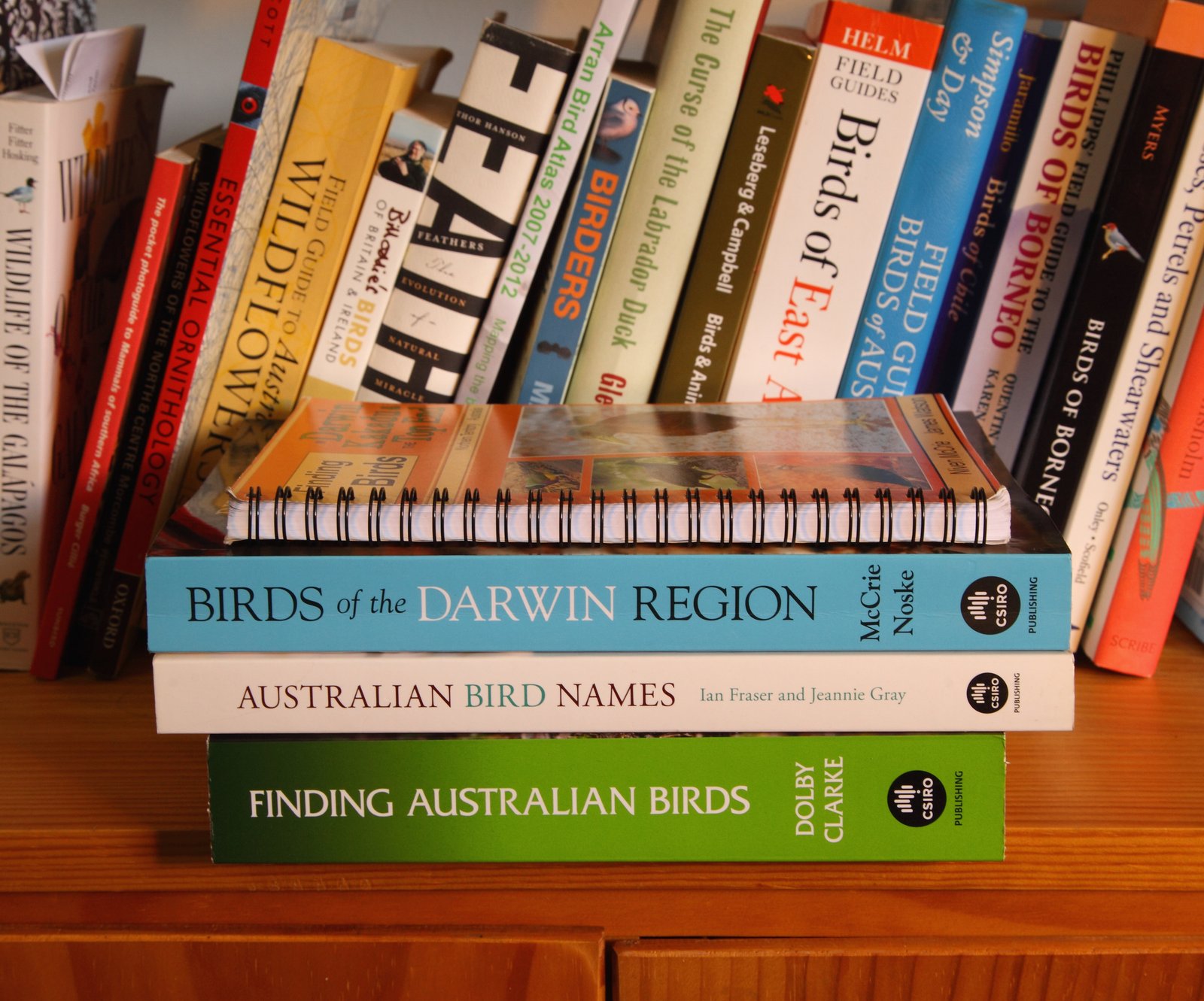 Birds of the Darwin Region with some other familiar volumes for size comparison. There is a lot in this book.&nbsp;